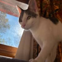 Photo of Billy