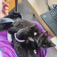 Photo of 🌸Penelope🌸