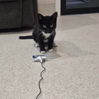 Photo of Onyx (0032)