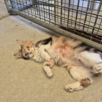 Photo of Maree! 🎀