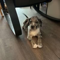 Photo of Jobberknoll