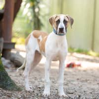 Photo of Peter
