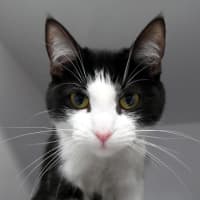 Photo of Chloe Sua014411