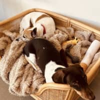 Photo of Silly Billy 