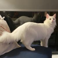 Photo of Cloud