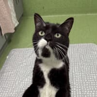 Photo of Otto