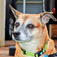 Photo of Budd