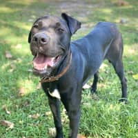 Photo of Princess Grace