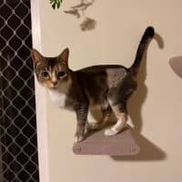 Photo of Rosie