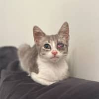 Photo of Tia