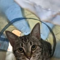 Photo of Susie