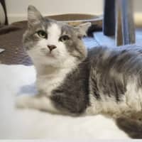 Photo of Bruce