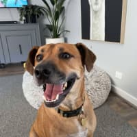 Photo of Trevor 