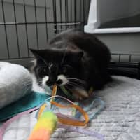 Photo of Mrs Tux