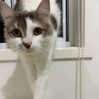 Photo of Susie Q