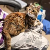 Photo of Princess Poppy