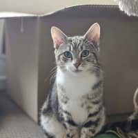 Photo of Jake
