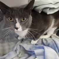 Photo of Spud And Socks