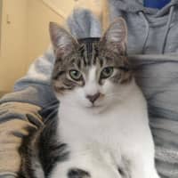 Photo of Flip