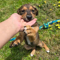 Photo of Princess Bubblegum