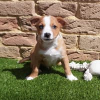 Photo of Calvin