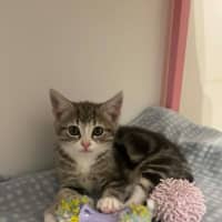 Photo of Charlotte   In Foster Care In Doreen
