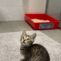 Photo of Betty Lou Who