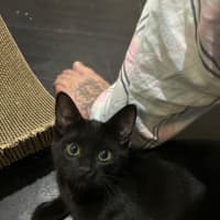 Photo of Monty