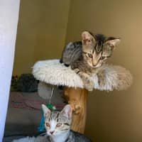 Photo of Bean & Munchkin