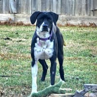 Photo of Maggie