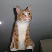 Photo of Sunny