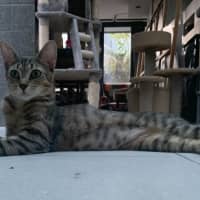 Photo of Ellie (Eleanor)