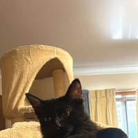 Photo of Zuzu