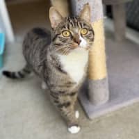 Photo of Phoebe