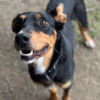 Photo of Reggie 