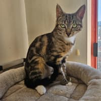Photo of Mia