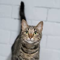 Photo of Tara