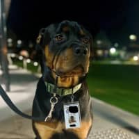 Photo of Lucky Newhaven