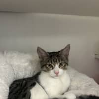 Photo of Roxy