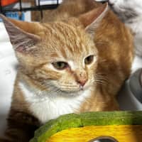 Photo of Bumble