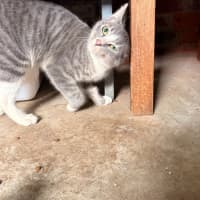 Photo of Rodger