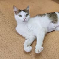 Photo of Maeve