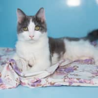 Photo of Ricki