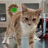 Photo of Floyd (0203)