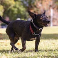 Photo of Basil Moriarty