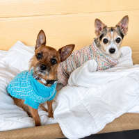 Photo of Barnaby & Rani