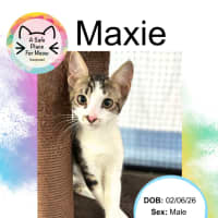 Photo of Maxie
