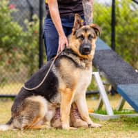 Photo of Eddie Imp 2245