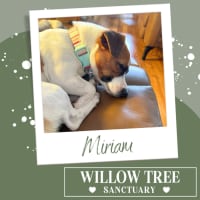 Photo of Miriam