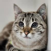 Photo of 💜 Indigo 6698 💜